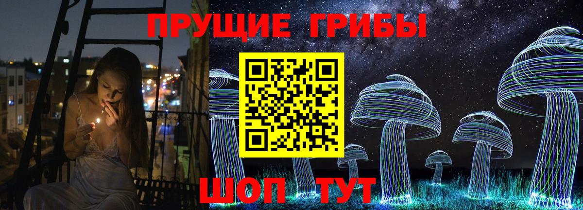 Псилоцибиновые грибы мицелий Бузулук