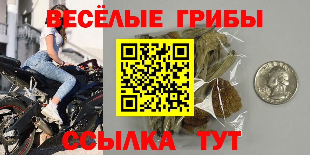 Бузулук  Псилоцибиновые грибы мицелий  Вход с VPN 